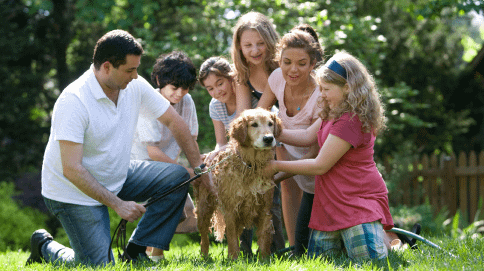 Family Portal Module